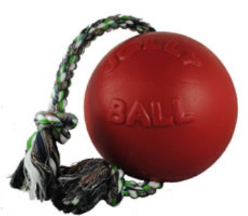 Screenshot 2022-03-29 at 11-54-15 50 Best Dog Toys For 2022 That Your Dog Will Love.docx